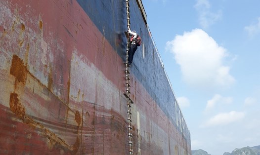Kiểm dịch viên y tế quốc tế lên tàu quốc tế lấy mẫu xét nghiệm COVID-19 cho các thủy thủ, thuyền viên tàu nước ngoài. Ảnh: Nguyễn Hùng