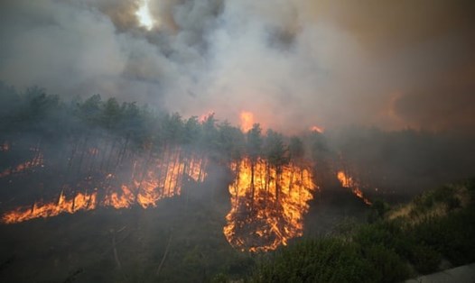 Cháy rừng ở quận Manavgat, Antalya, Thổ Nhĩ Kỳ. Ảnh: Anadolu Agency