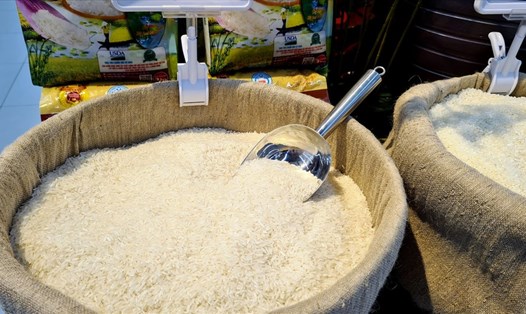 Dự báo xuất khẩu gạo sẽ khởi sắc hơn trong những tháng cuối năm. Ảnh: Vũ Long