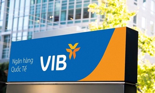 VIB hiện là ngân hàng bán lẻ có tốc độ tăng trưởng thuộc Top đầu ngành ngân hàng. Nguồn: VIB