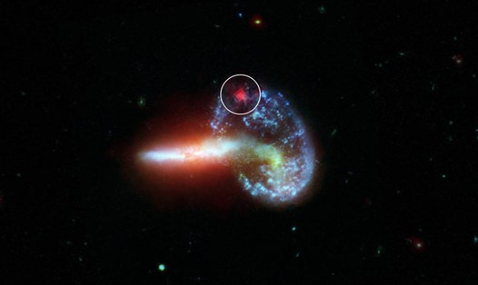 Ảnh thiên hà Arp 148. Trong vòng tròn màu trắng là ánh sáng hồng ngoại từ siêu tân tinh bị bụi che khuất do kính thiên văn Spitzer chụp. Ảnh: NASA