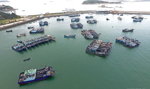 Tàu cá cập bến ở thành phố Chương Châu, tỉnh Phúc Kiến, đông nam Trung Quốc, ngày 4.8.2021. Ảnh: Xinhua