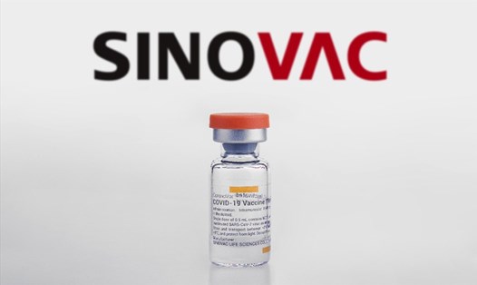 Vaccine Sinovac. Ảnh: Sinovac