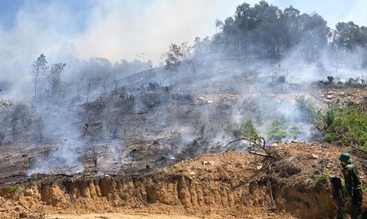 Hình ảnh cháy rừng ở xã Tân Hương hôm nay. Ảnh: ĐT.