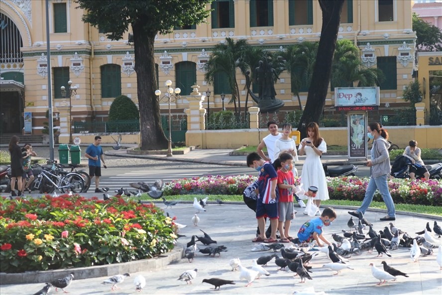 Sở Du lịch TPHCM nỗ lực chung tay phòng chống, dịch COVID-19 trên địa bàn. Ảnh: LĐ