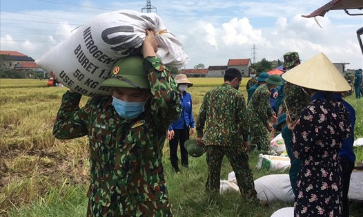 Cán bộ, chiến sĩ Ban Chỉ huy quân sự huyện Diễn Châu và dân quân xã Diễn Đoài giúp nhân dân thu hoạch lúa. Ảnh: Huy Cường