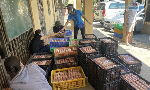 Liên đoàn Lao động quận Tây Hồ giúp nông dân huyện Ứng Hoà tiêu thụ vịt và trứng. Ảnh: CĐQ
