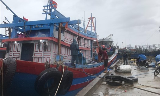 Ngư dân đã chủ động neo đậu tàu thuyền an toàn để đối phó với bão số 5. Ảnh: AT