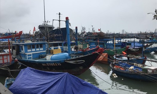 Đà Nẵng cho phép người dân được đi lại mua vật tư chèn chống nhà cửa, tàu thuyền để chống bão số 5. Ảnh: ATh