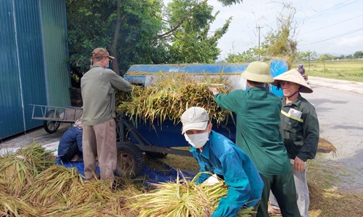 Sáng 10.9, nông dân ở xã Đồng Môn, Thành phố Hà Tĩnh khẩn trương tuốt lúa để phơi trước khi bão vào. Ảnh: Trần Tuấn