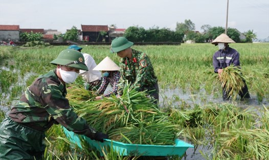 Cán bộ, chiến sỹ Ban Chỉ huy Quân sự huyện Lộc Hà giúp dân gặt lúa. Ảnh: DH.