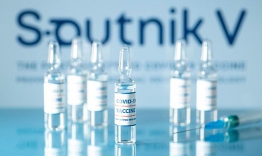 Vaccine Sputnik V đóng ống tại Việt Nam đạt tiêu chuẩn chất lượng. Ảnh minh hoạ