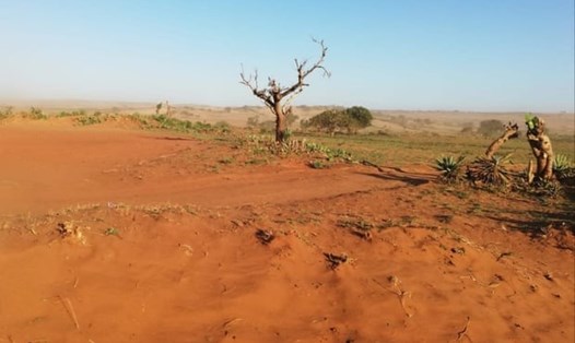 Hạn hán đe dọa gây ra thiếu lương thực ở Madagascar. Ảnh: MSF