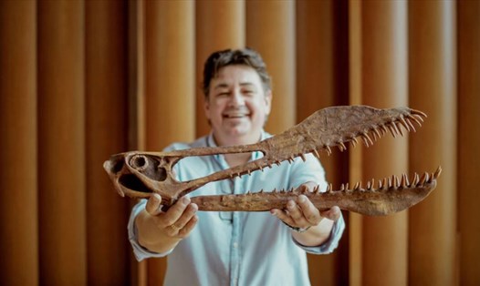 Hóa thạch dực long từng được khai quật. Ảnh minh họa. Ảnh: Đại học Queensland