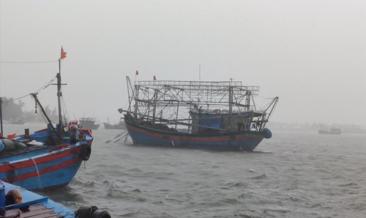 Ngư dân Quảng Nam khẩn trương quay về bờ để tránh bão số 5. Ảnh: Thanh Chung
