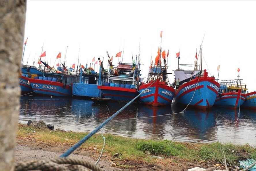Ngư dân Khánh Hòa đã neo đậu tàu tại bến cảng để ứng phó với bão Conson. Ảnh: Hữu Long