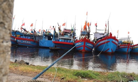 Ngư dân Khánh Hòa đã neo đậu tàu tại bến cảng để ứng phó với bão Conson. Ảnh: Hữu Long