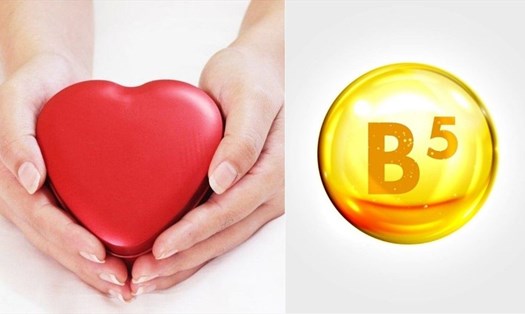 Vitamin B5 mang lại nhiều lợi ích cho sức khỏe tim mạch, thần kinh. Đồ họa: Thanh Ngọc