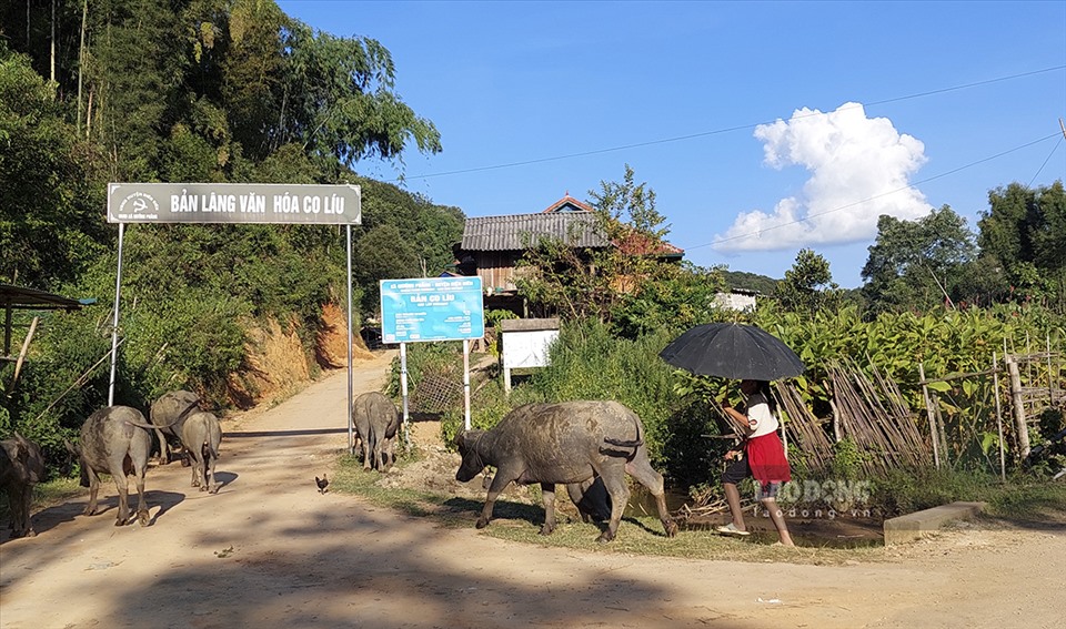 Đường vào bản Co Líu, xã Mường Phăng, TP. Điện Biên Phủ, tỉnh Điện Biên. Ảnh: Văn Thành Chương