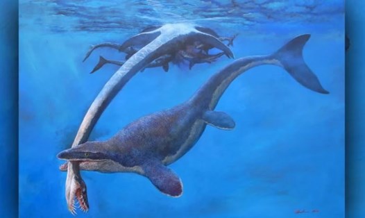 Các nhà khoa học phát hiện quái vật biển 80 triệu năm trước, là một loài khủng long biển hoàn toàn mới thuộc chi hiếm Ectenosaurus. Ảnh: Takashi Oda/ University of Cincinnati