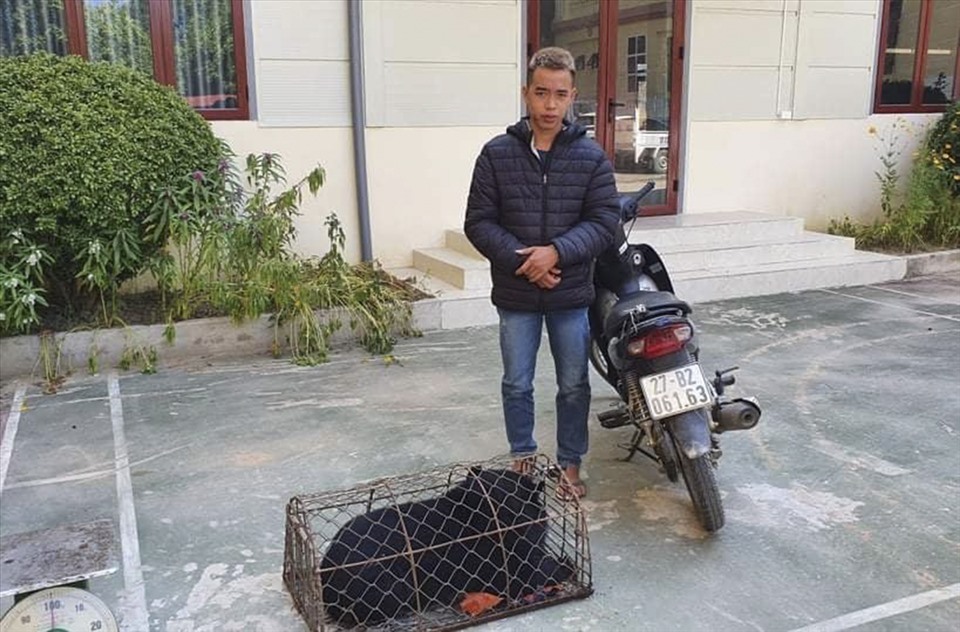 Đối tượng Nguyễn Xuân Đức và tang vật là cá thể gấu nặng 30kg. Ảnh: CACC