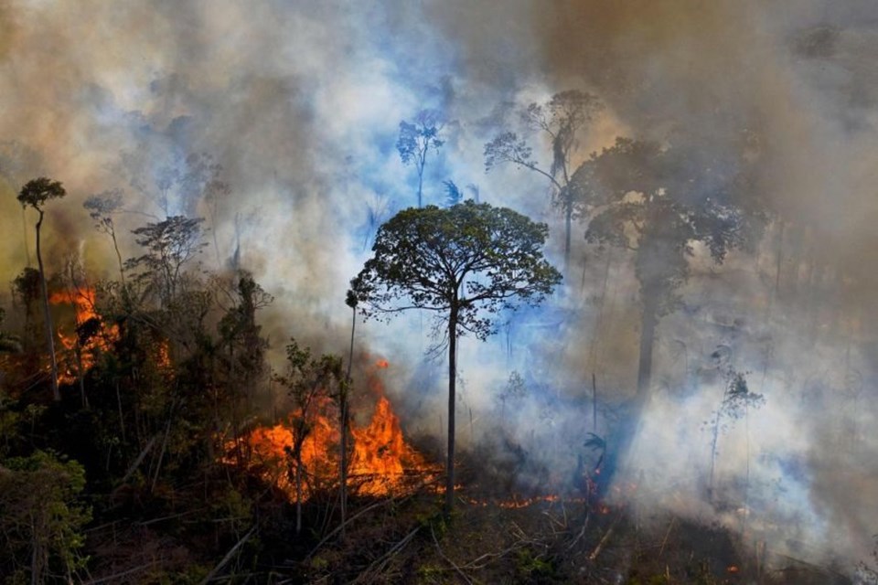7/10 quốc gia có nhiều người bảo vệ môi trường thiệt mạng nhất ở Mỹ Latinh. Ảnh: AFP
