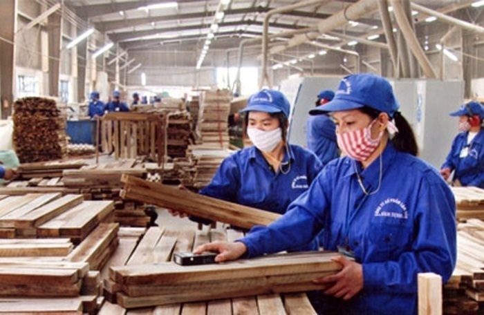 HOSE đưa ra cảnh báo về nguy cơ hủy niêm yết bắt buộc đối với cổ phiếu của Công ty Gỗ Trường Thành nếu vốn chủ sở hữu tiếp tục âm. Ảnh: TTF