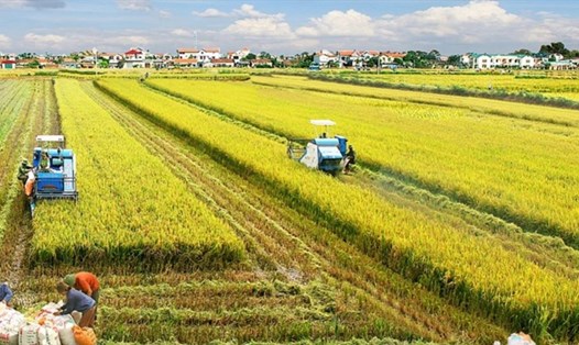 Dịch bệnh COVID-19 tác động lên sản xuất nông nghiệp và công nghiệp, làm giảm đà tăng trưởng của vùng Đông Nam Bộ và ĐBSCL. Ảnh minh họa: TL