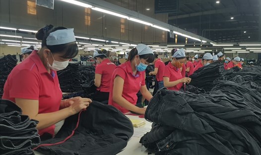 Hầu hết các DN trong các KCN trên địa bàn tỉnh Ninh Bình đều duy trì hoạt động sản xuất, tạo việc làm thường xuyên cho hàng nghìn lao động tại địa phương. Ảnh: NT