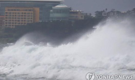 Bão Chanthu gây sóng biển cao ở đảo Jeju, Hàn Quốc ngày 16.9. Ảnh: Yonhap/KMA