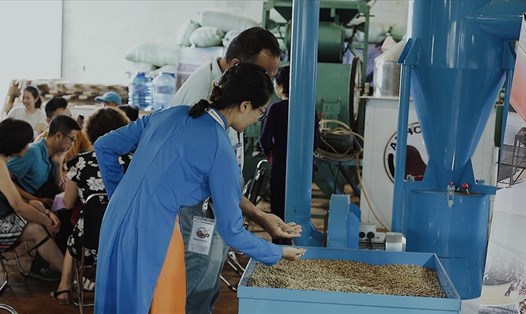 Hướng dẫn viên du lịch của một doanh nghiệp làm cà phê ở Đắk Lắk giới thiệu sản phẩm đến khách hàng trong và ngoài nước (thời điểm dịch COVID-19 chưa bùng phát trở lại). Ảnh: Bảo Trung