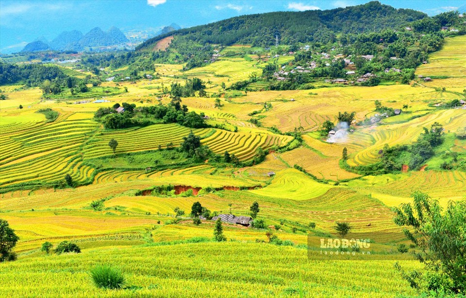 Những thửa ruộng bậc thang đẹp nhất Tây Bắc