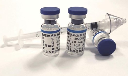 Vaccine COVID-19 dạng xịt mũi do Đại học Hong Kong, Đại học Hạ Môn và Công ty Dược sinh học Wantai Bắc Kinh cùng phát triển. Ảnh: Đại học Hạ Môn