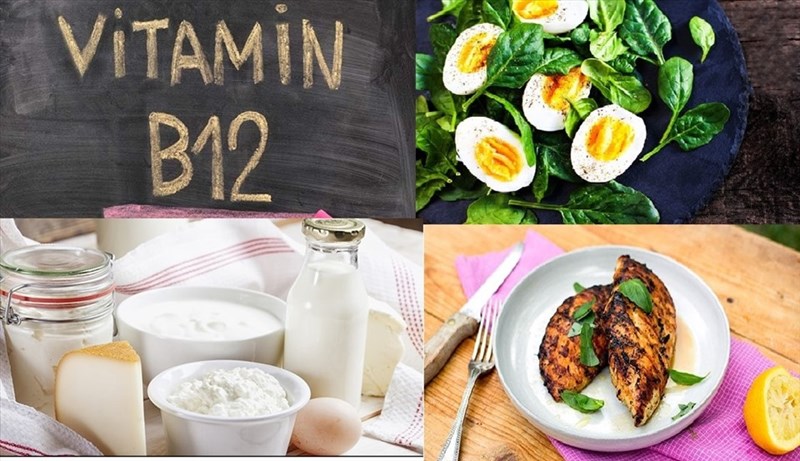 Những món ăn nào khác còn chứa vitamin B12 ngoài gan bò, ngao và cá?
