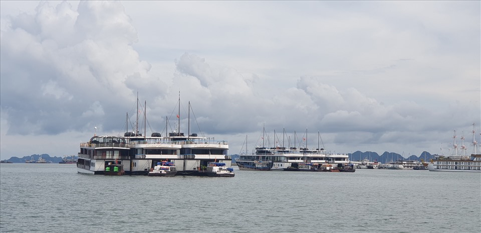 Tàu du lịch vịnh Hạ Long được phép hoạt động trở lại từ hôm nay (21.9). Ảnh: Nguyễn Hùng