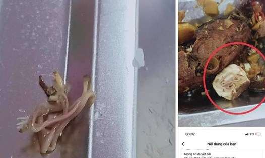 Công nhân trong khu công nghiệp ở Hải Phòng phản ánh về bữa ăn ca không đảm bảo vệ sinh an toàn thực phẩm. Ảnh Facebook