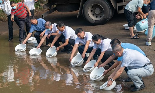 Nhân viên tập đoàn sở hữu đập Tam Hiệp thả cá xuống nhánh sông Dương Tử. Ảnh: CGTN