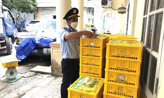 Gần 1,7 tấn nho xanh nhập lậu bị thu giữ tại Lạng Sơn. Ảnh: DMS