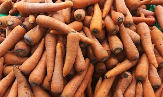 Cà rốt là một trong những loại rau ăn củ tốt cho sức khỏe. Ảnh: Thanh Ngọc
