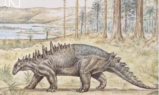 Phác họa hình dáng con khủng long thuộc loài ankylosaur lần đầu được tìm thấy ở Châu Phi. Ảnh: The Natural History Museum
