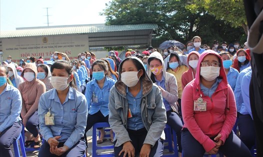 Đà Nẵng còn khoảng 4.000 lao động ngoại tỉnh chưa tiêm vaccine COVID-19. Ảnh minh hoạ: TT