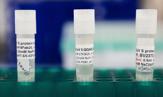 Novavac là loại vaccine COVID-19 đầu tiên ở Mỹ dùng công nghệ protein. Nguồn: AFP