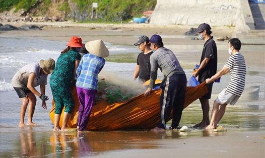 Những lao động đánh bắt gần bờ hỗ trợ nhau di chuyển một tấm lưới sau chuyến biển. Ảnh: T.A