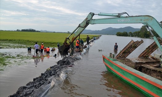 Bảo vệ đê ngăn lũ cứu lúa ở huyện miền núi Tri Tôn (An Giang). Ảnh: Lục Tùng