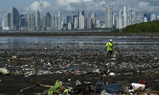 Ngày càng có nhiều cảnh báo quốc tế về ô nhiễm rác thải nhựa. Ảnh: AFP