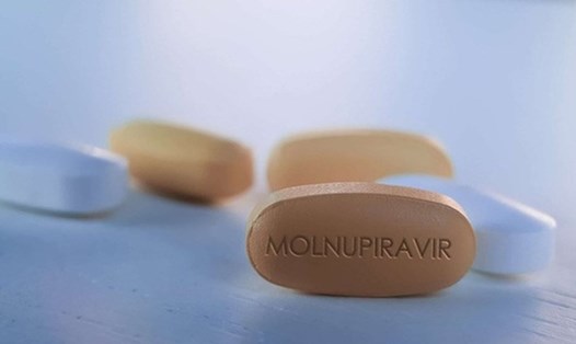 Thuốc Molnupiravir đang được thử nghiệm tại Việt Nam với triển vọng điều trị F0 tại nhà. Ảnh: LĐO