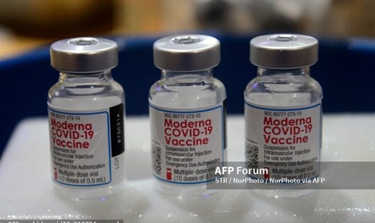 Lọ vaccine COVID-19 Moderna. Ảnh: AFP