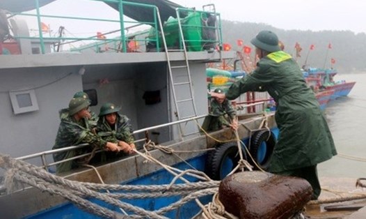 Bộ đội Biên phòng đồn Cửa khẩu cảng Cửa Lò giúp dân neo đậu tàu thuyền. Ảnh: Báo Nghệ An