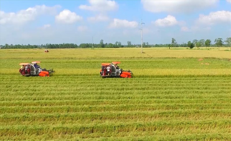 Phân biệt chuyển đổi đất và chuyển quyền sử dụng đất