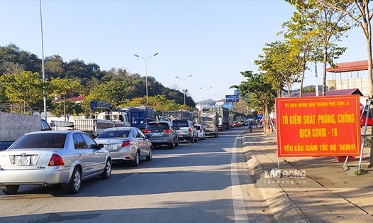Hàng trăm xe ô tô xếp hàng hơn 2 tiếng để khai báo y tế tại TP. Sơn La ngày 4.1.2022. Ảnh: Văn Thành Chương